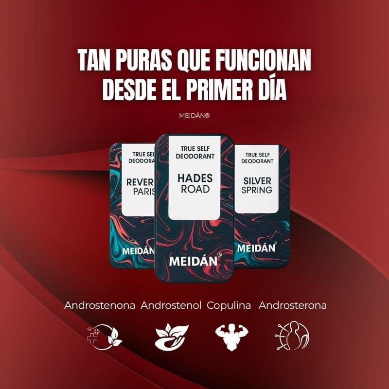 MEIDÁN® | Activa tu conexión con una sola aplicación.